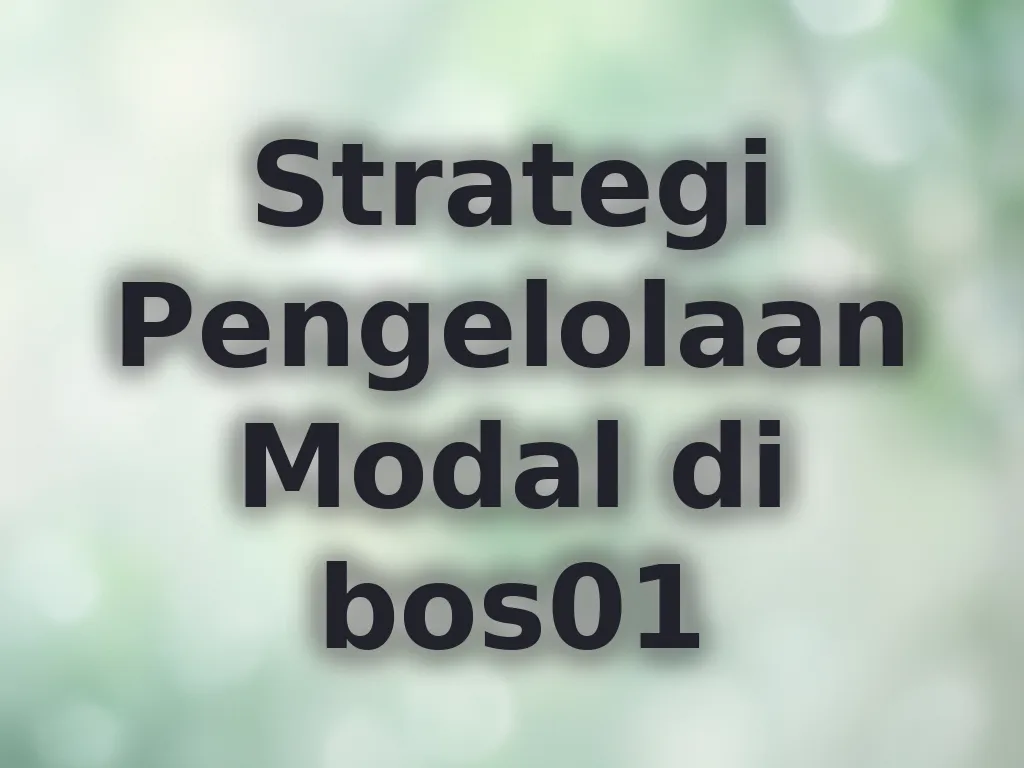 Strategi Pengelolaan Modal di bos01